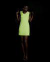 BLAZE GREEN MINI DRESS